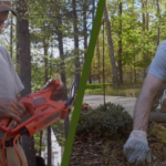 Curb Appeal can take work